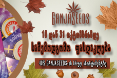 ოქტომბრის ოქროსფერი ფასდაკლება 40% GanjaSeeds-ის სრულ ასორტიმენტზე!