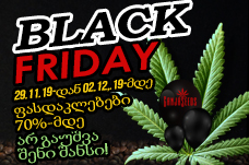 Black FridayGanja Seeds - ზე - დიდი ამოყიდვა!