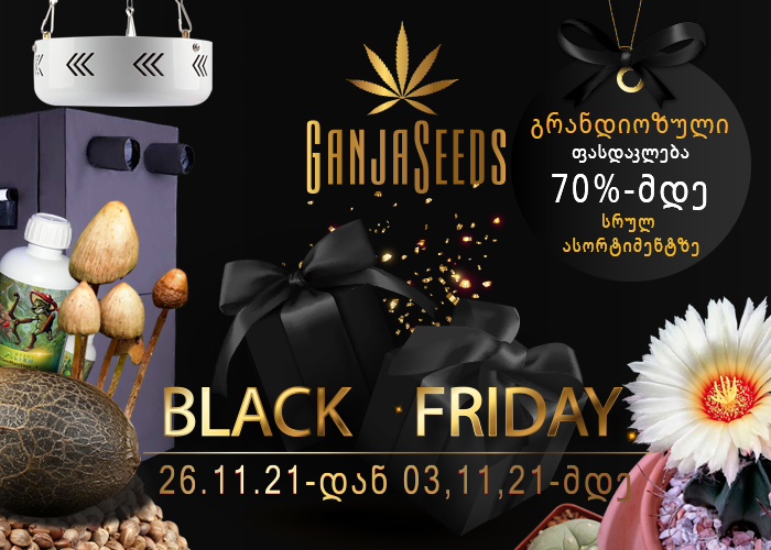 BlackFriday ინტერნეტ-მაღაზია GanjaSeeds -ზე!