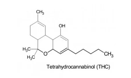 THC (დელტა 9-ტეტრაჰიდროკანაბინოლი)