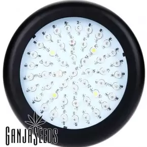 შუქდიოდური ფიტო სანათი  LED Green Round 50 ვტ.