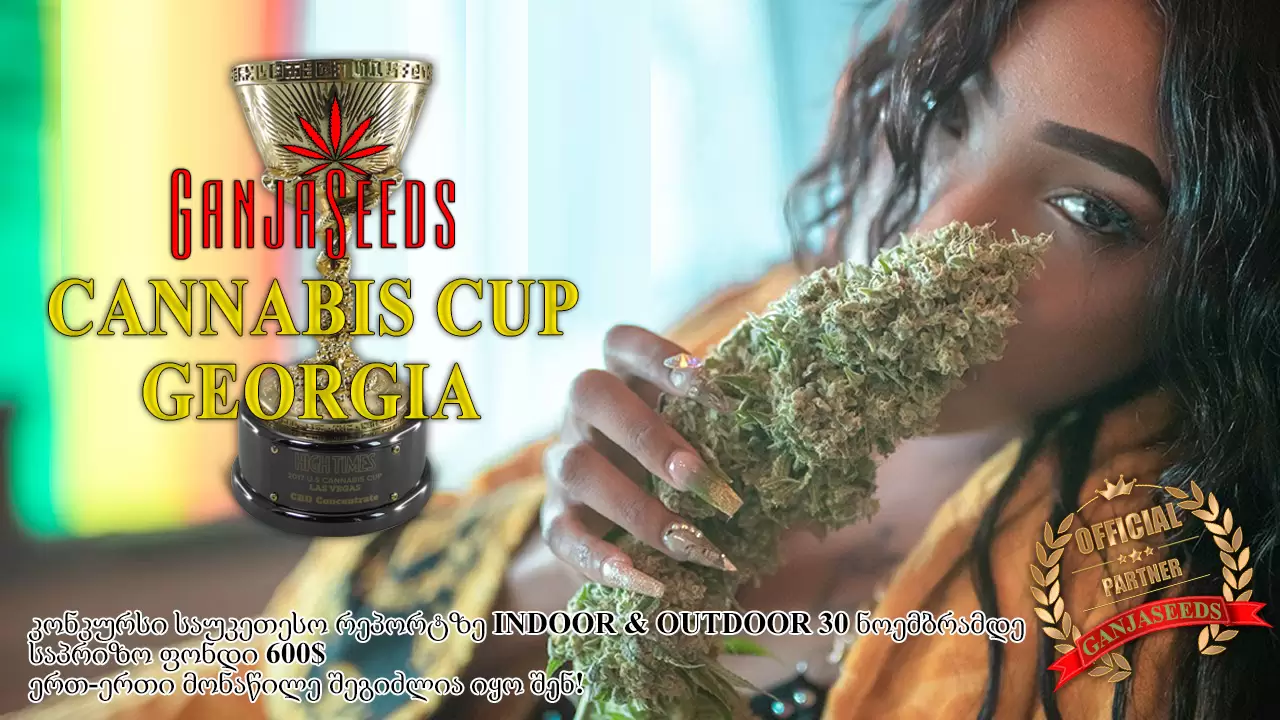 კონკურსები «GanjaLive Cup Georgia – 2020»