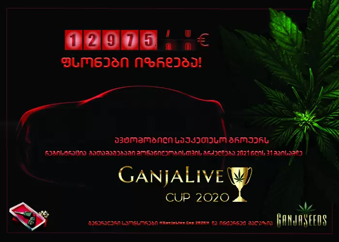 «GanjaLiveCup 2020» საპრიზო ფონდი გაიზარდა! «GanjaLiveCup 2020» საპრიზო ფონდი გაიზარდა!