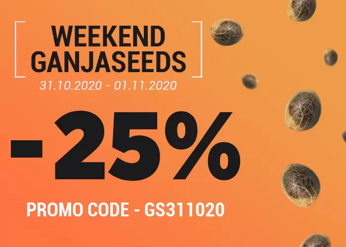 Weekend-ი GanjaSeed-ზე დაიწყო, არ გამოტოვოთ!