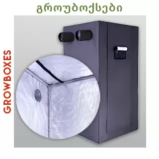 გროუბოქსები
