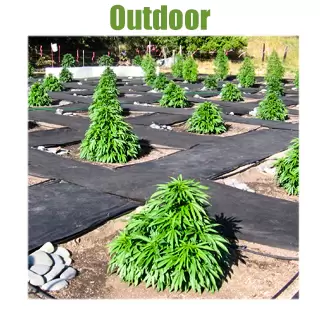 outdoor