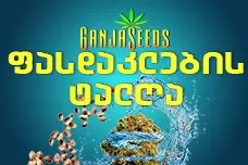 ფასდაკლებების ცუნამი GanjaSeeds-გან!