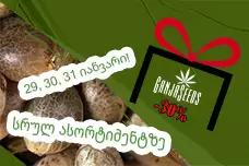 ინდორ-სეზონის ბოლო აკორდი -30% GanjaSeeds-ზე!