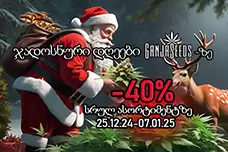 ჯადოსნური შობა GanjaSeeds-ზე -40% სრულ ასორტიმენტზე!
