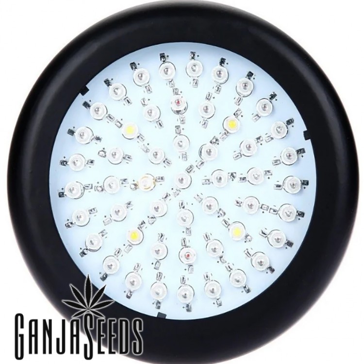 შუქდიოდური ფიტო სანათი LED Green Round 50 ვტ. შეკვეთა თბილისში შუქდიოდური ფიტო სანათი LED Green Round 50 ვტ.