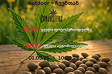 უპერეცედენტო აქცია GanjaSeeds-ზე!