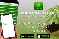 ახალი ნაბიჯი ციფრულ სამყაროში - უფასო პროგრამა "GanjaLive"