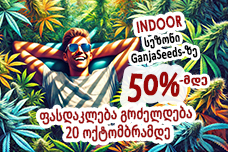 -50%-მდე ფასდაკლება GanjaSeeds-ზე გრძელდება!