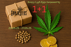 2=ჯერ მეტი სარგებელი GanjaSeeds-ზე! 1+1 ბონუსი ყოველა შეკვეთაზე!