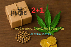 ბონუსების კვირეული GanjaSeeds-ზე ბრუნდება