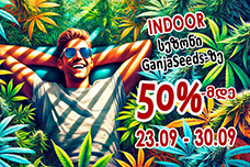 -50%-მდე ფასდაკლება GanjaSeeds-ზე!