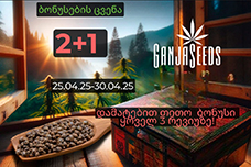 კვირის აქცია „2+1“ GanjaSeeds- ზე და დამატებითი ბონუსები „შეფასების კომენტარებზე“!