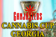 კონკურსები «GanjaLive Cup Georgia – 2020»