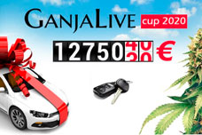 ავტომობილი გროურეპორტისთვის - GanjaLive Cup შთამბეჭდავი პრიზით!